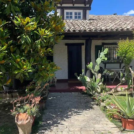B&B Villa Lupidi-3